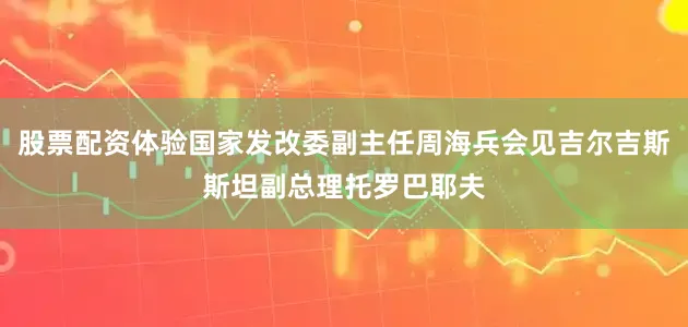 股票配资体验国家发改委副主任周海兵会见吉尔吉斯斯坦副总理托罗巴耶夫